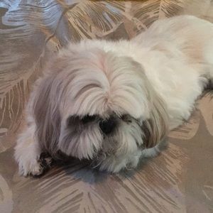 Meet your Posher, Sandra